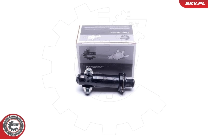 Thermostat, coolant